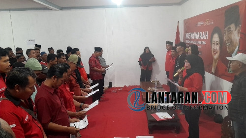 Small News Image